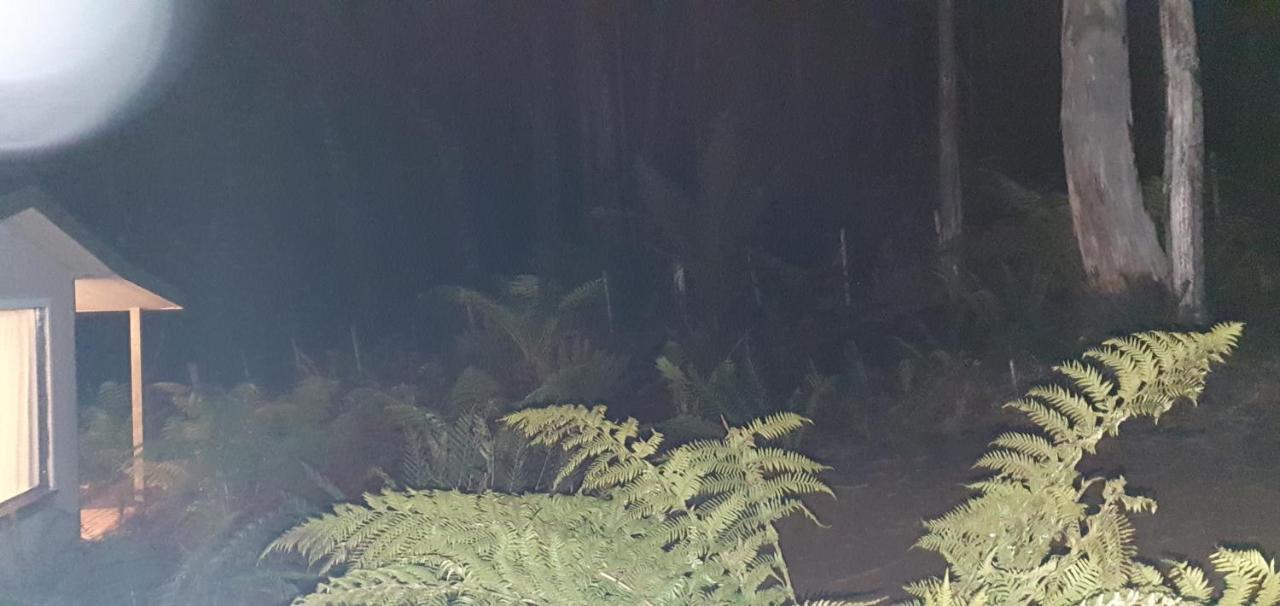לינה וארוחת בוקר Moina Cradle Alpine Retreat מראה חיצוני תמונה