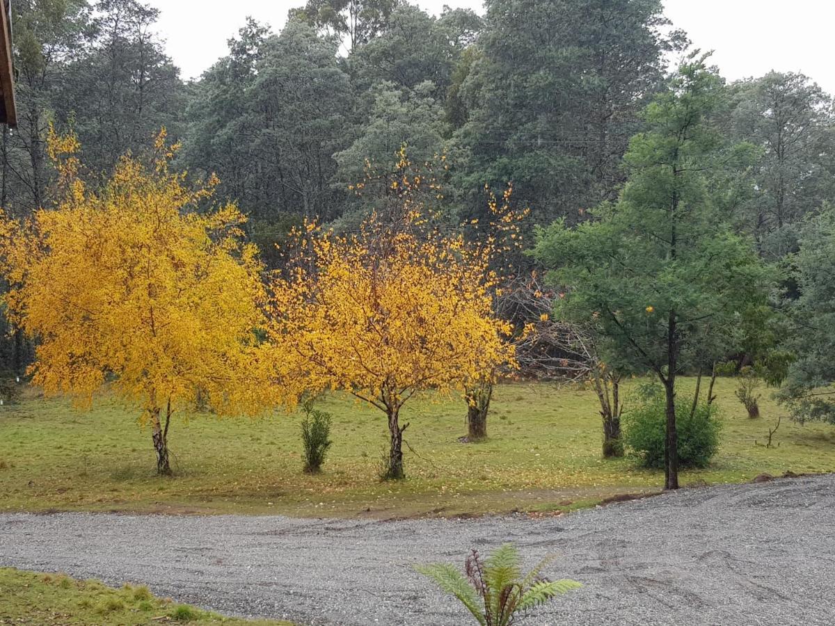 לינה וארוחת בוקר Moina Cradle Alpine Retreat מראה חיצוני תמונה