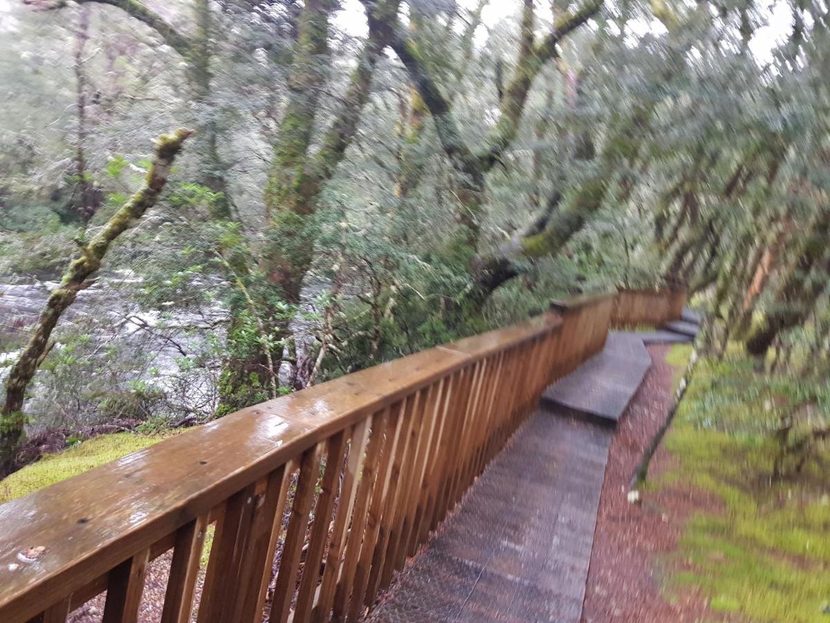 לינה וארוחת בוקר Moina Cradle Alpine Retreat מראה חיצוני תמונה